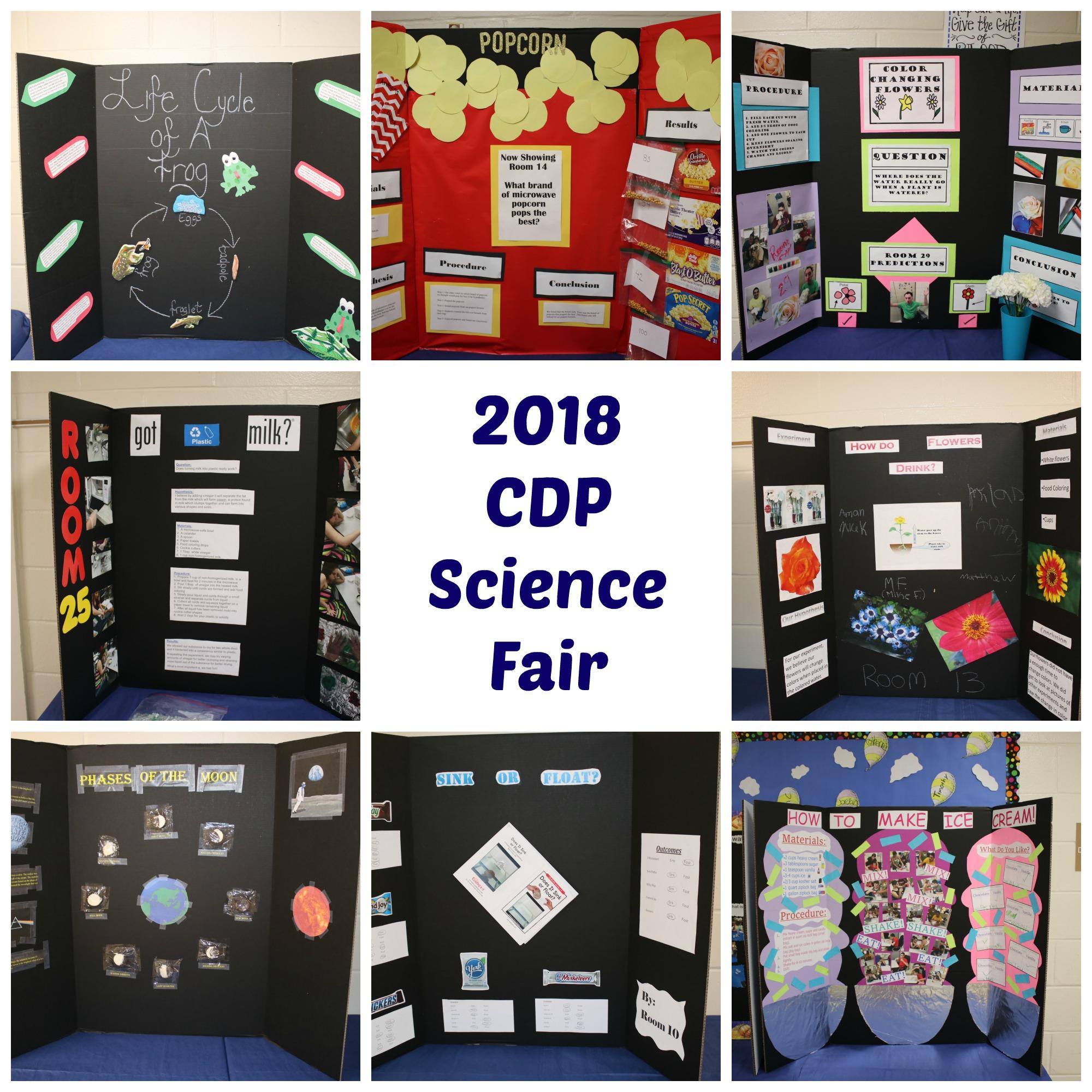 Collage of science fair poster boards