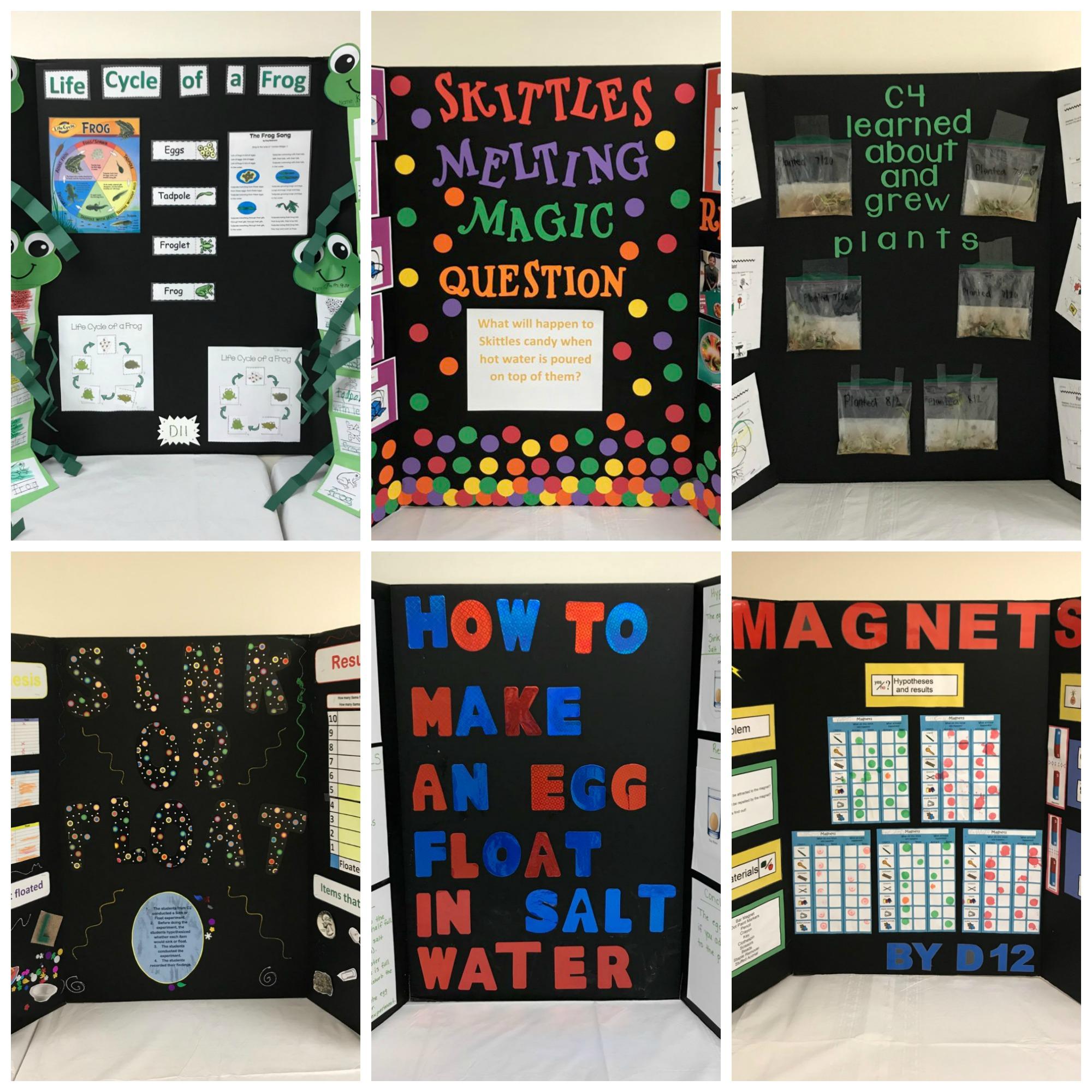 Science Fair posters