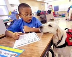 Young boy with service dog