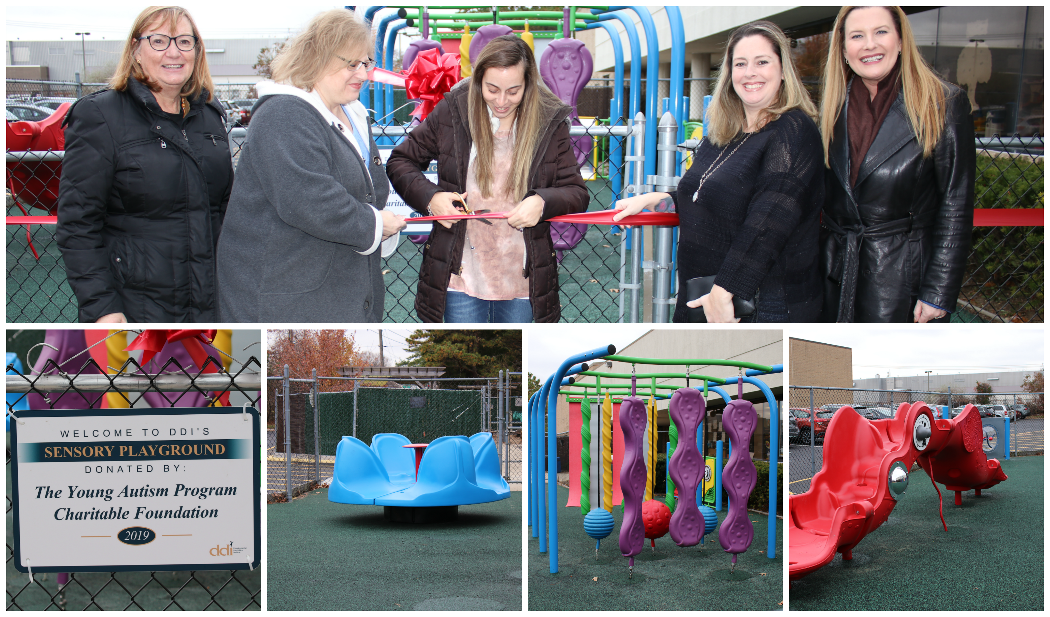 Collage of DDI staff, YAPF board members and playground equipment